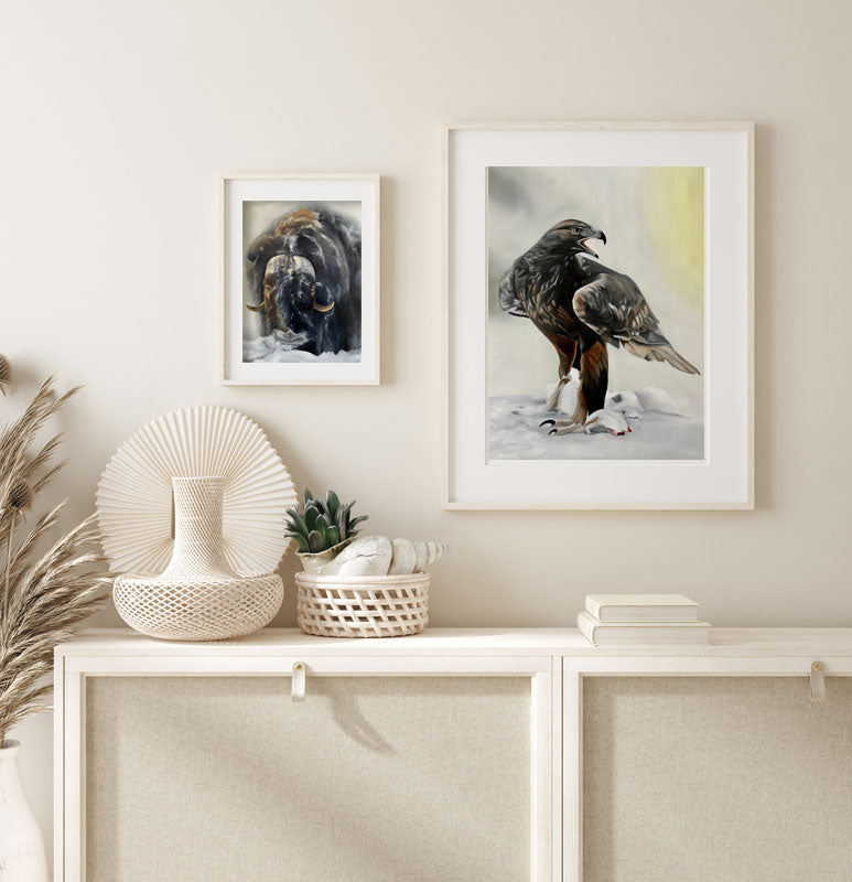 Kungsörn / Golden eagle 42x60