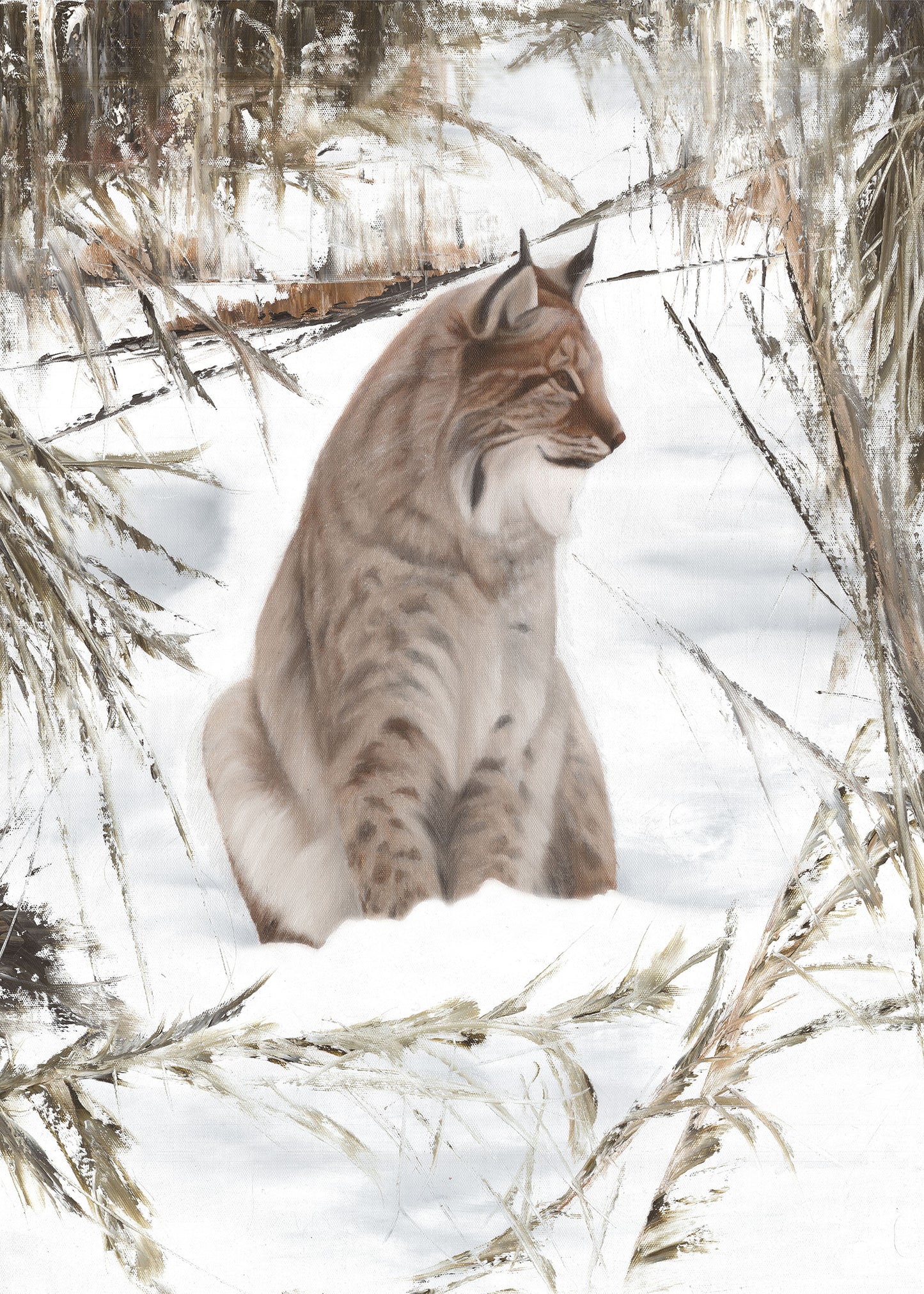 Lynx 50x70