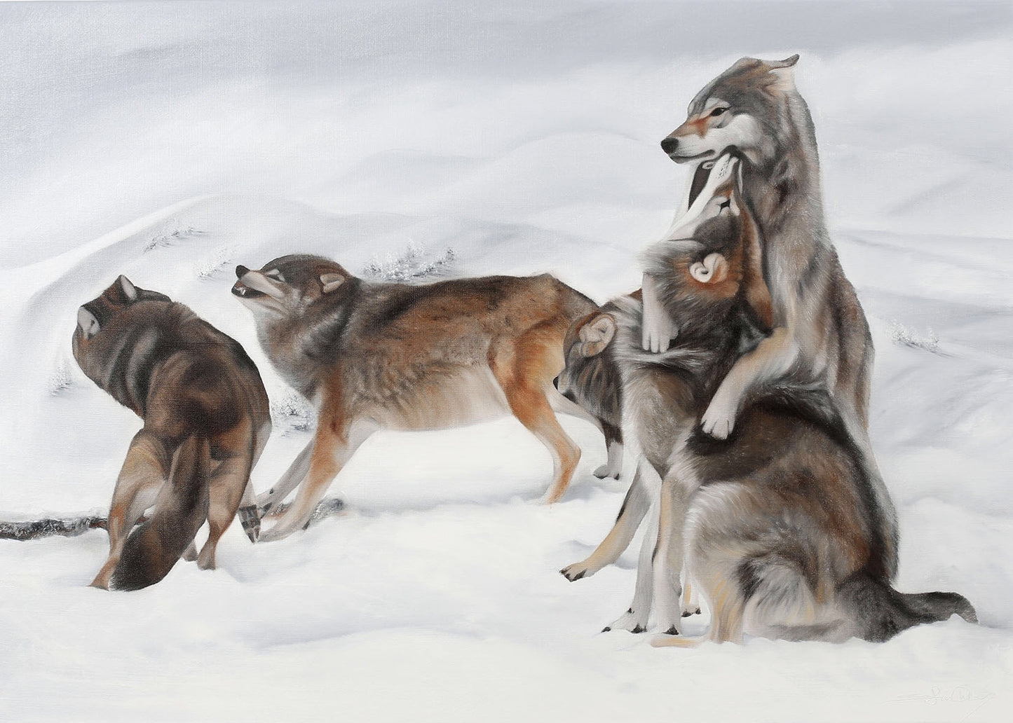Wolfpack 70x50