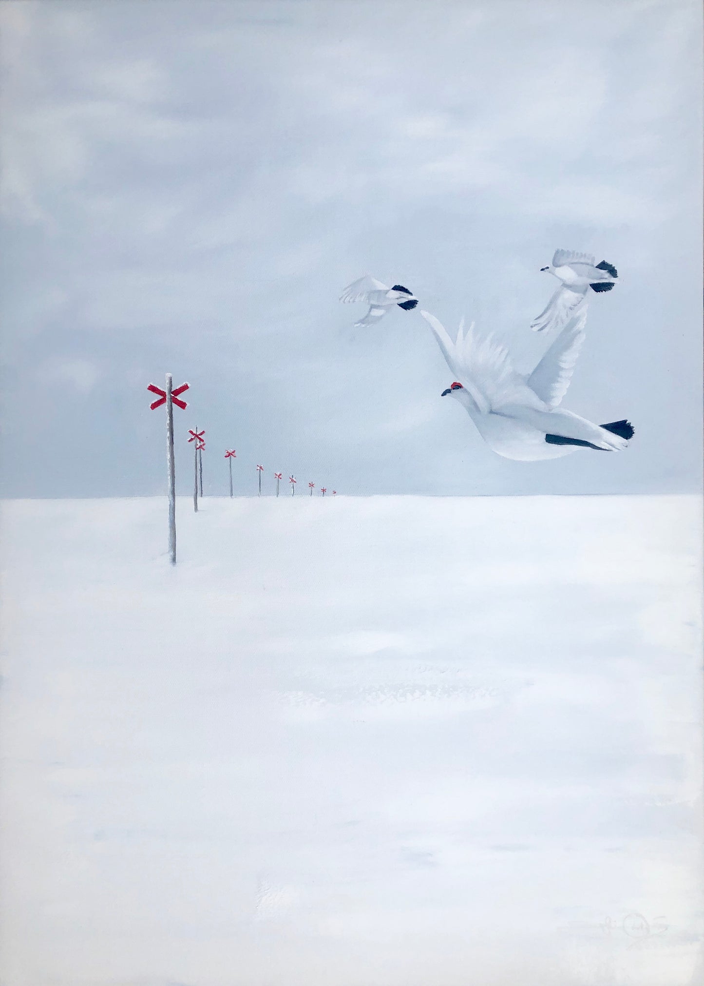 FOLLOW THE TRAIL 50X70