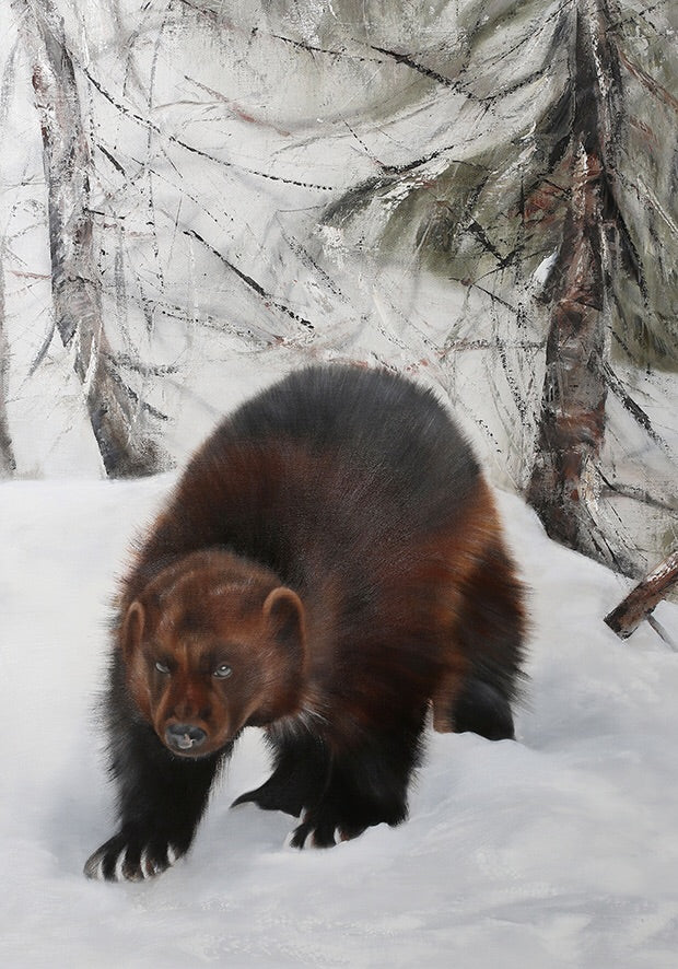 Wolverine 50x70