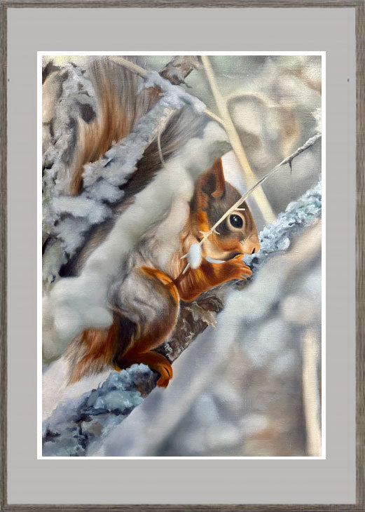 Ekorre / Squirrel 42x60