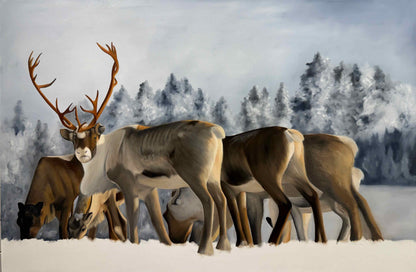 Renar i Vinterljus no2