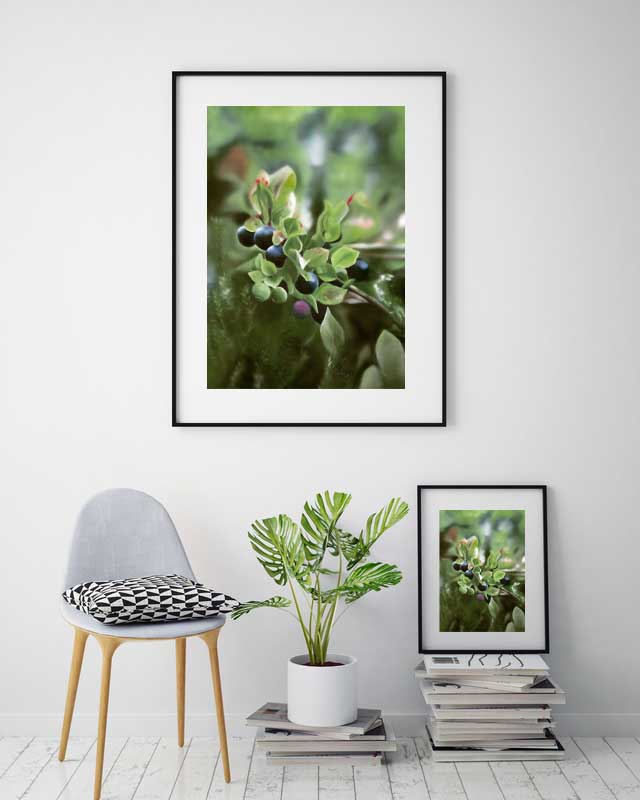 Blåbär 42x60