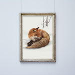 REDFOX