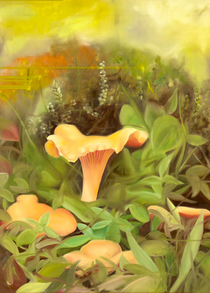 Chanterelles 42x60