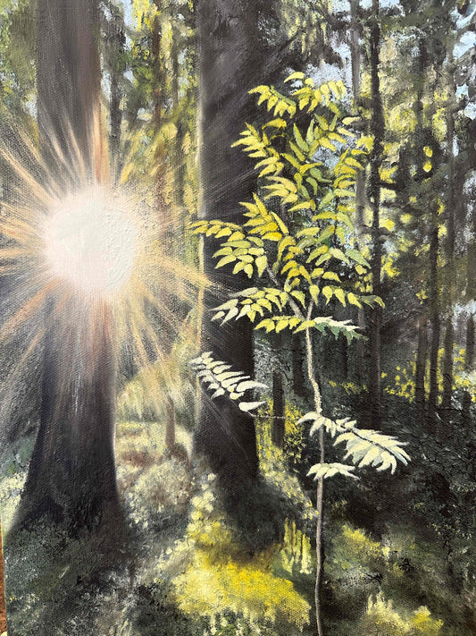 42. Lys du lilla spira