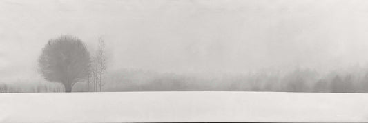Silence II 150x50