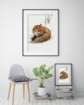 Rödräv Redfox 42x60
