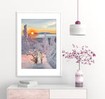 Sweet Reindeer 01 42x60