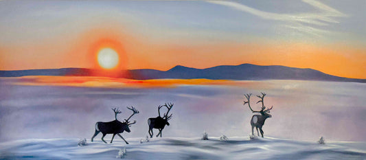 Midvinter … 160x70
