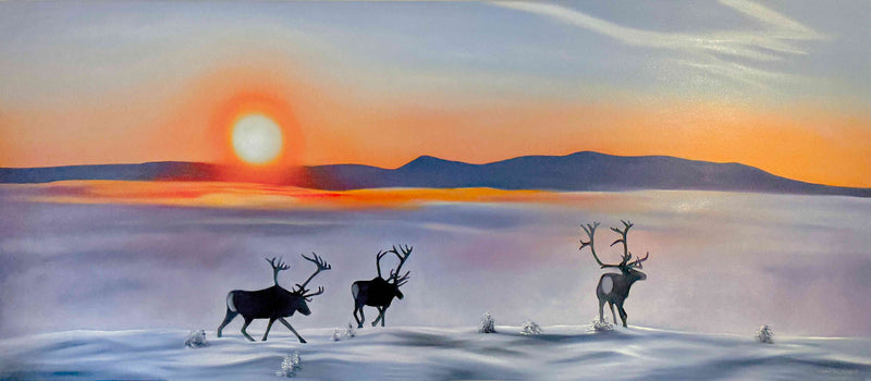 Midwinter … 160x70