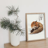 REDFOX