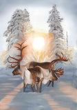 Sweet Reindeer 02 42x60