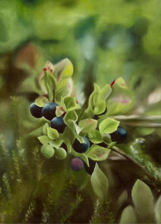 Blåbär 42x60