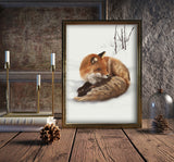 REDFOX