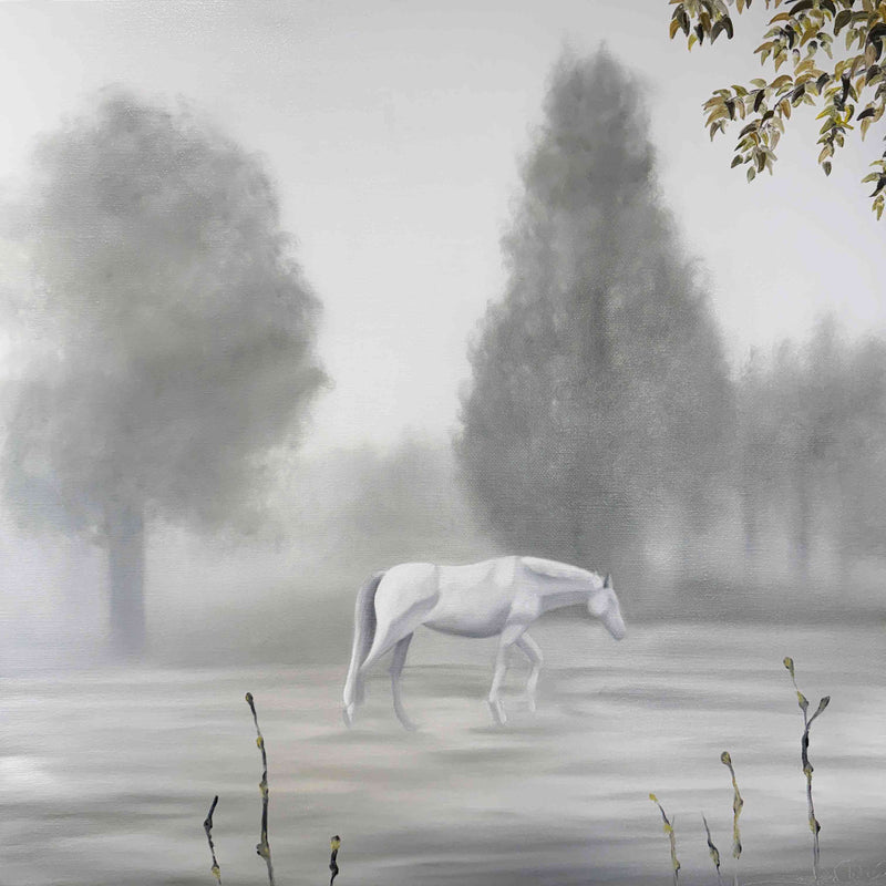 Foggy morning