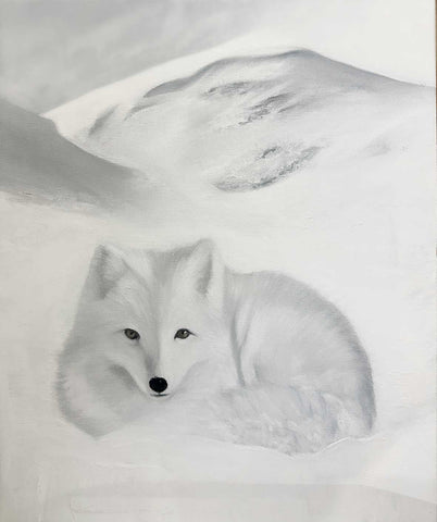 Arctic Fox ll