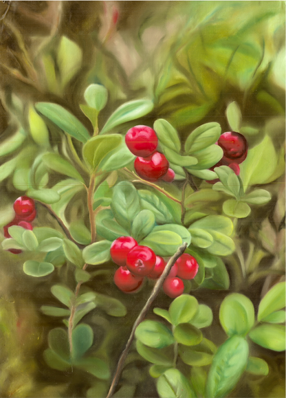 Lingonberry 42x60