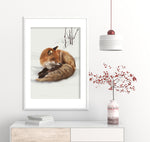 Rödräv Redfox 42x60