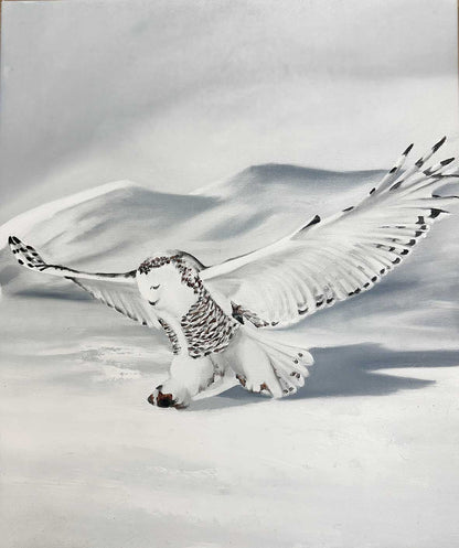 Arctic Owl II