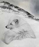 Arctic Fox lll