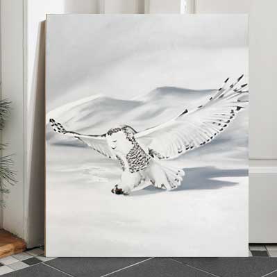 Arctic Owl II