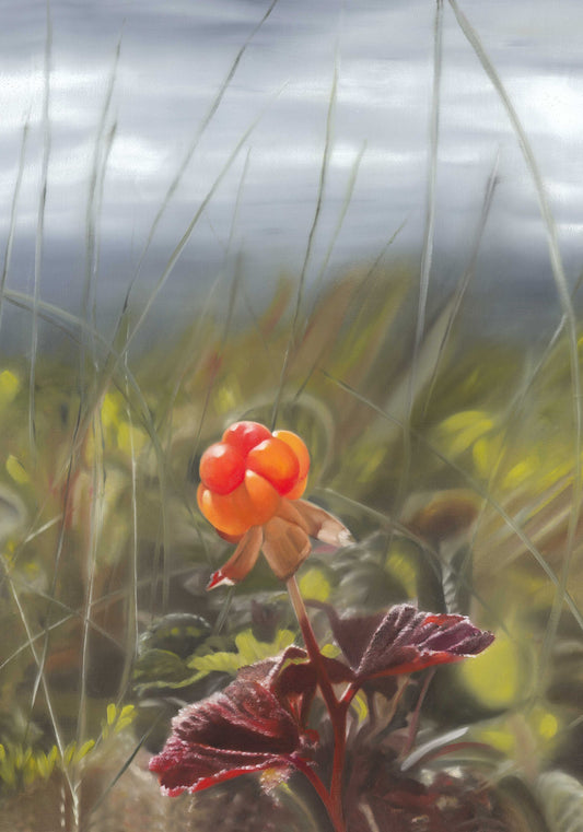 Hjortron / Cloudberry 42x60