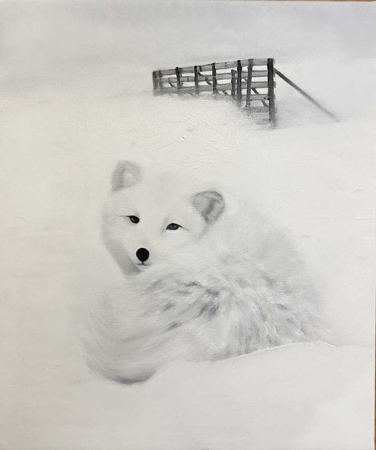 Arctic Fox l