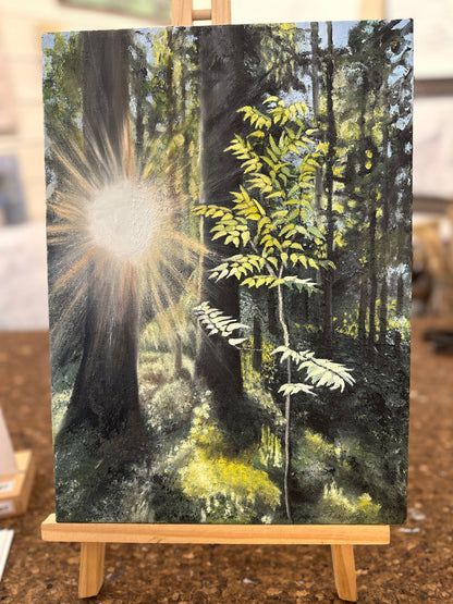 Forest Light 27x37