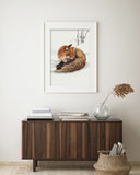 Rödräv Redfox 42x60