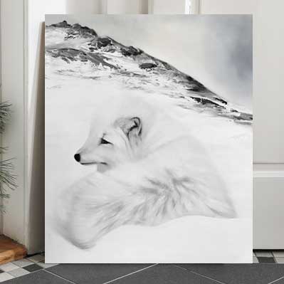 Arctic Fox III