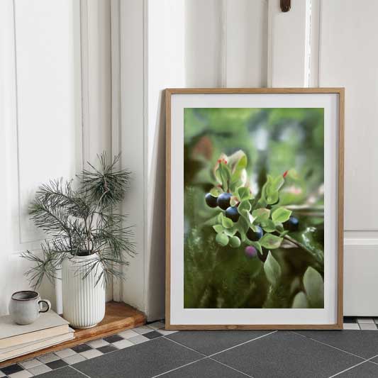 Blåbär 42x60