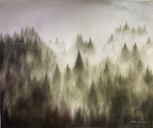 60x50