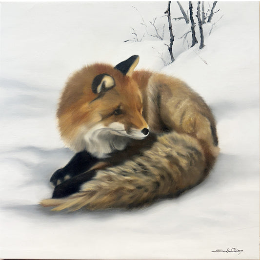 RödRäv 47x47