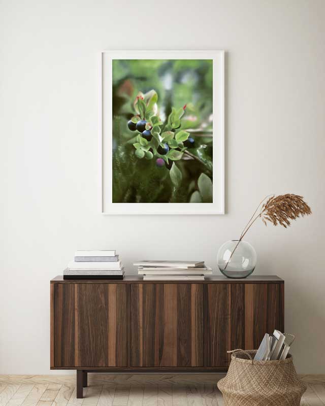 Blåbär 42x60