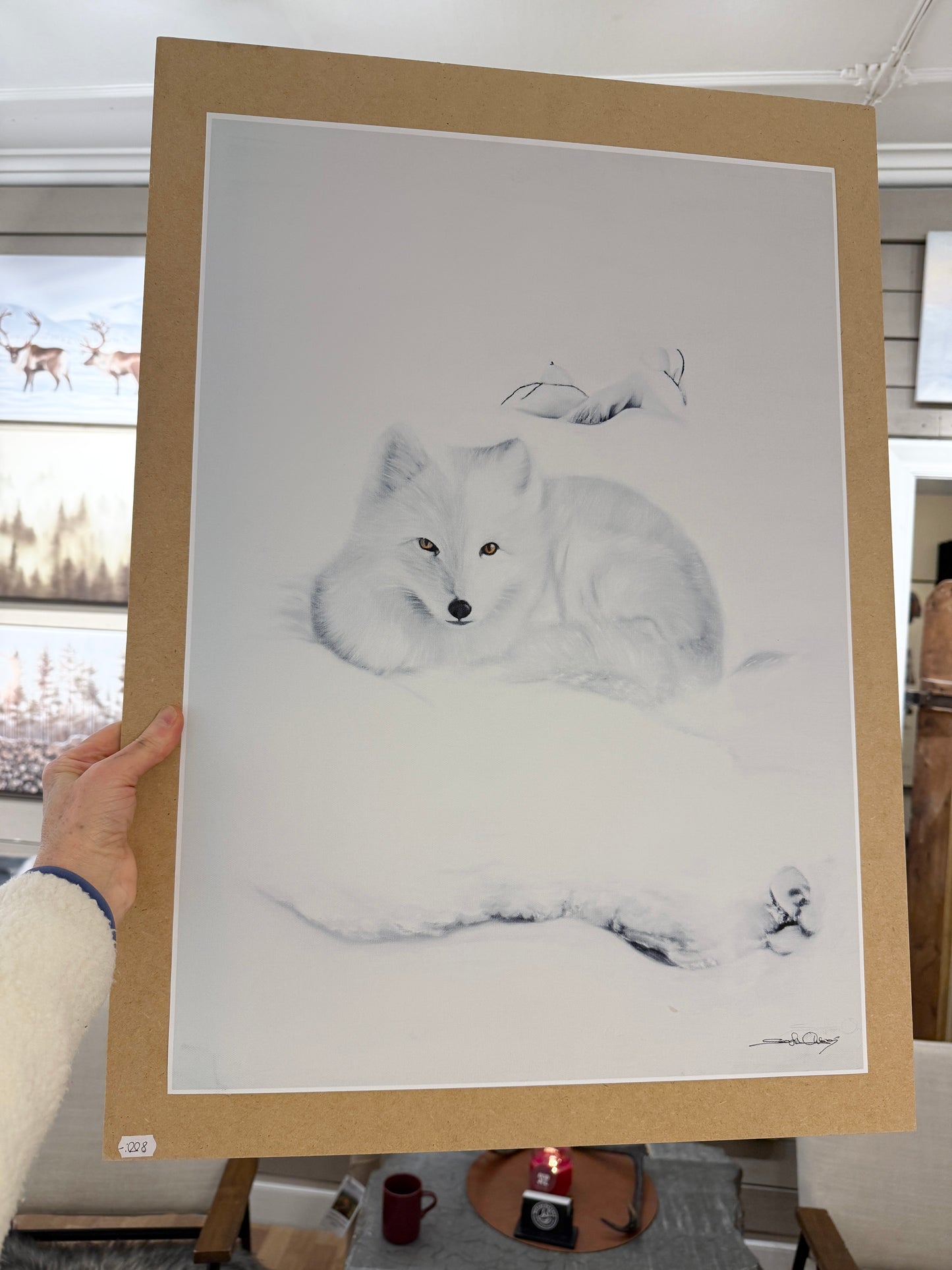 Arctic fox 42x60