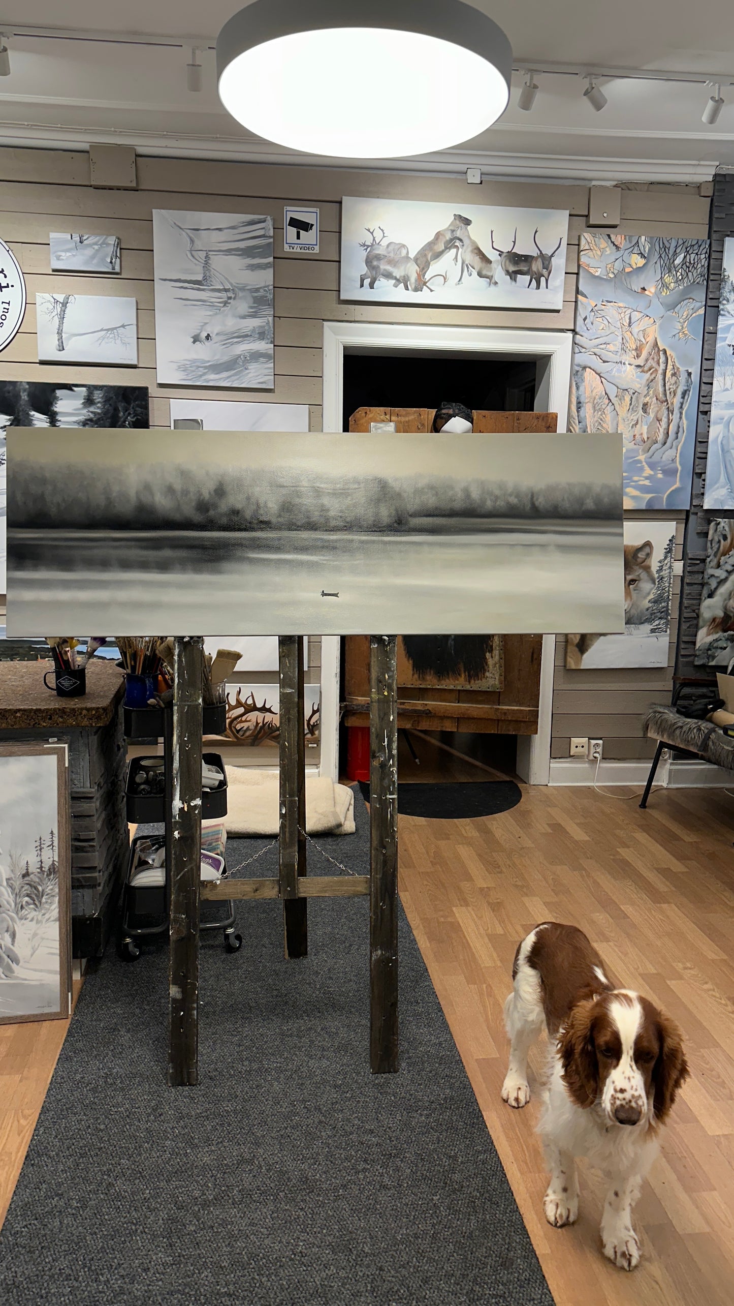 Silence 150x50