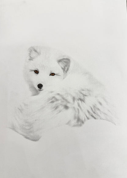 ARCTICFOX 