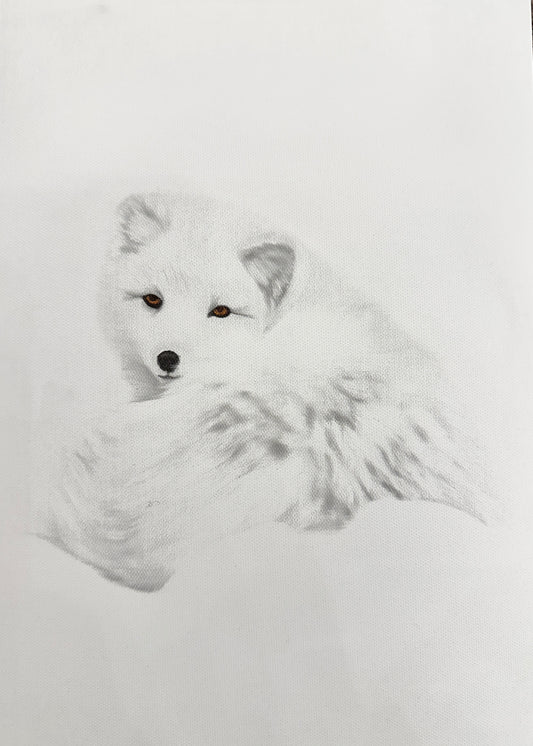 ARCTICFOX