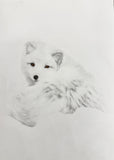 ARCTICFOX