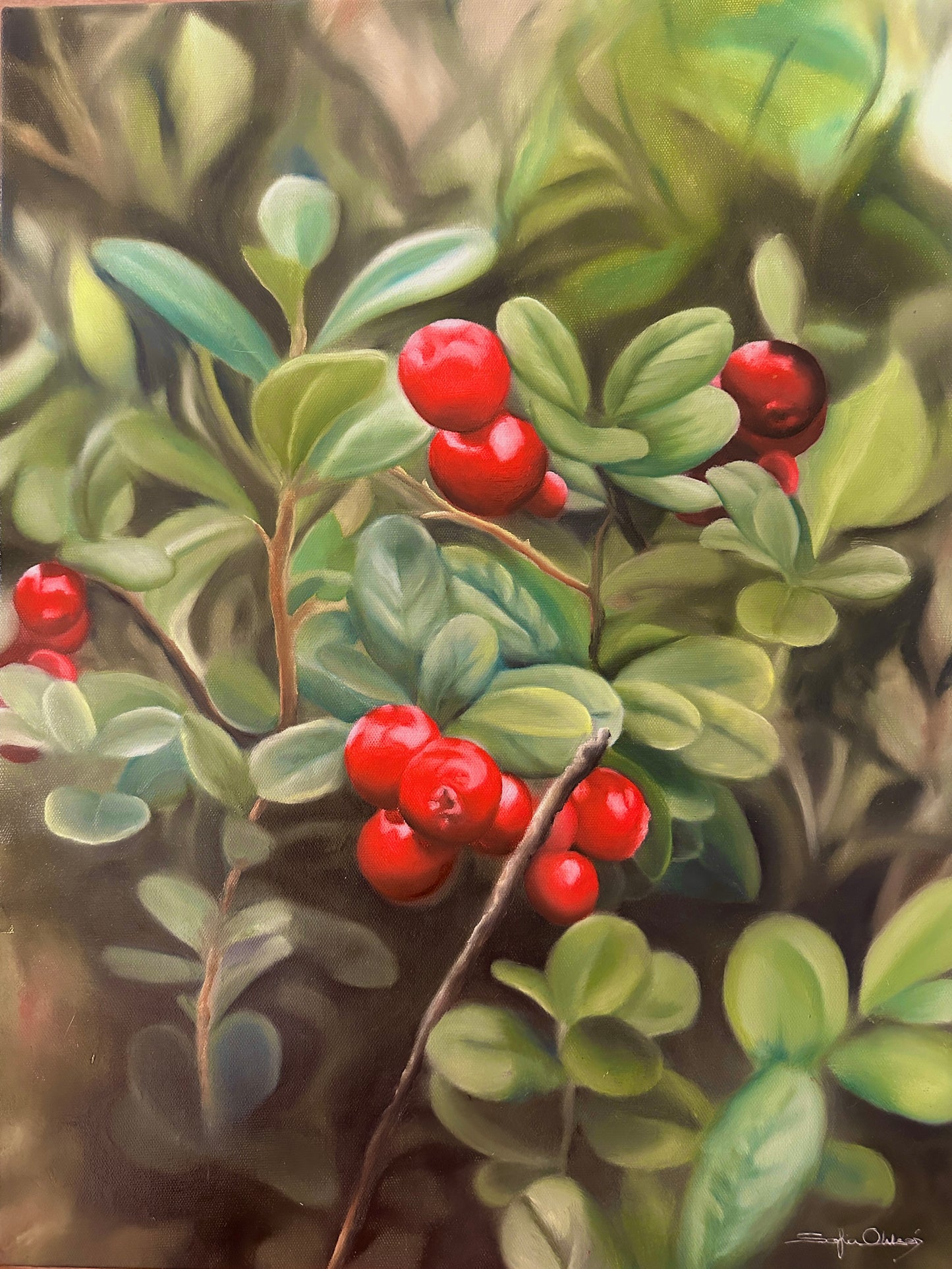 45x60