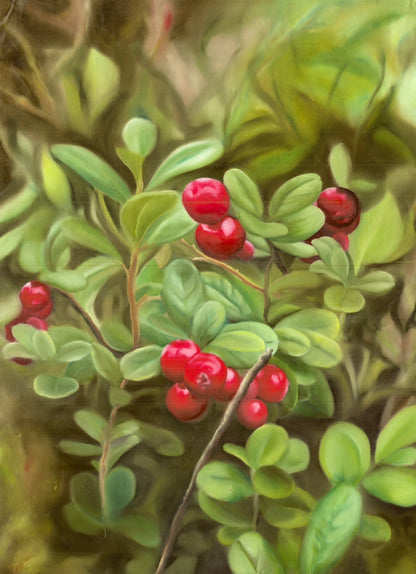 Lingonberry A4