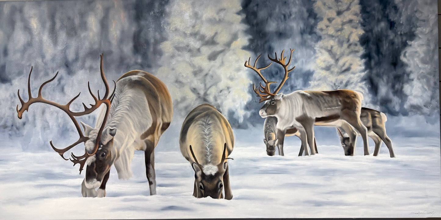 Renar i Vinterljus no1