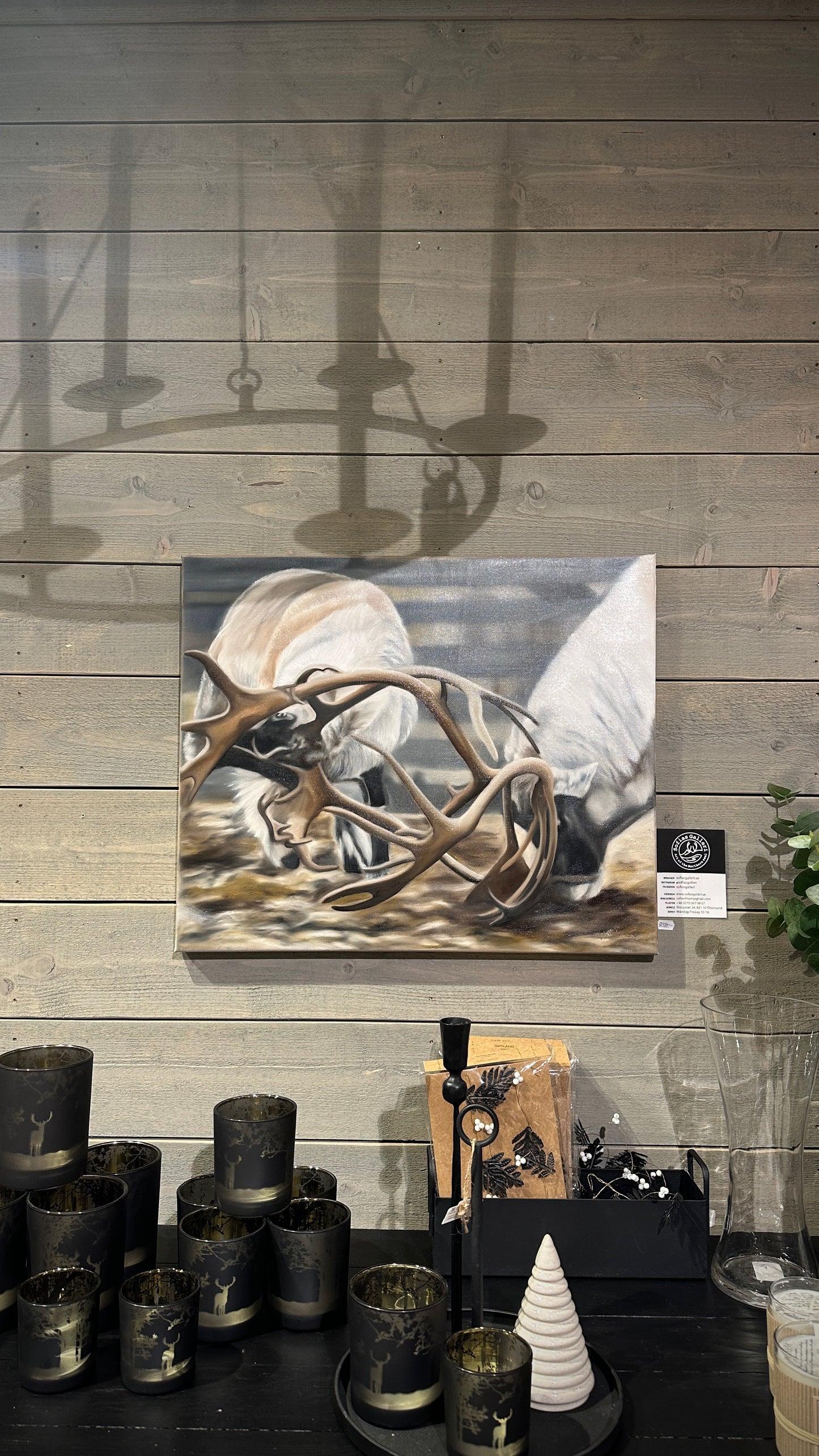Renhorn 60x50