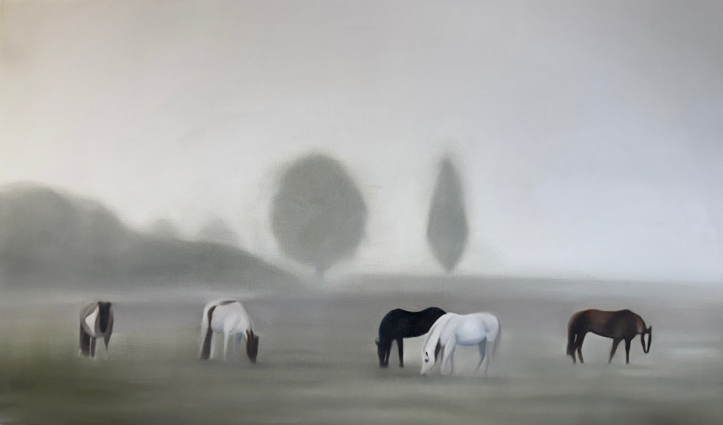 Foggy morning ll