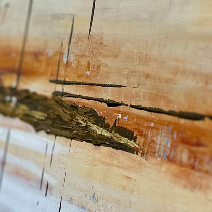 Abstract No. 2415 70x70