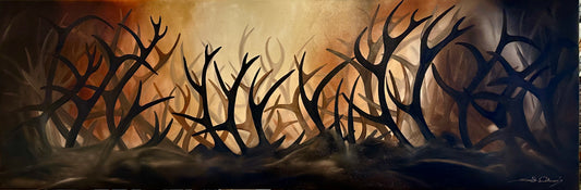 150x50