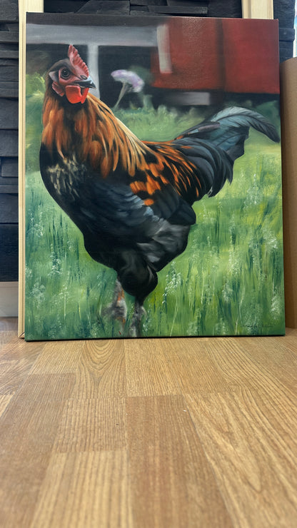 Rooster 46x58