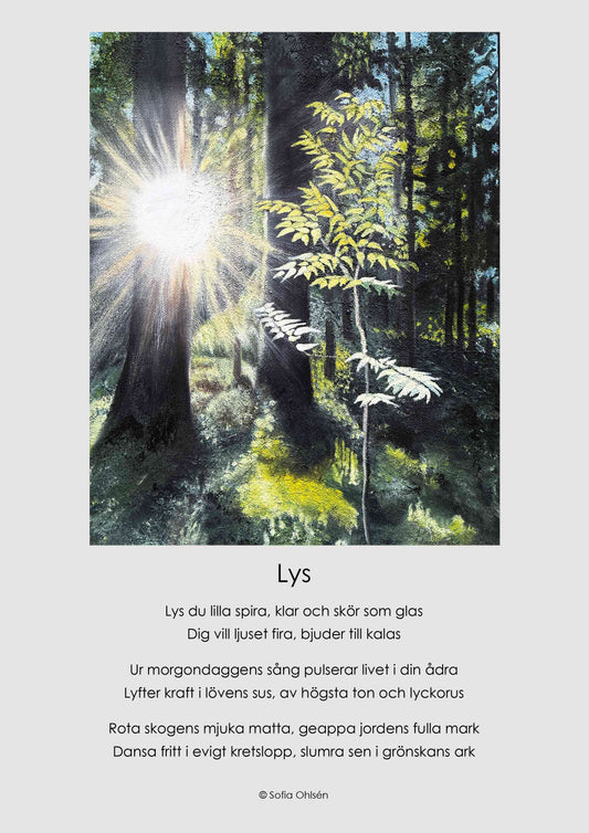Lys